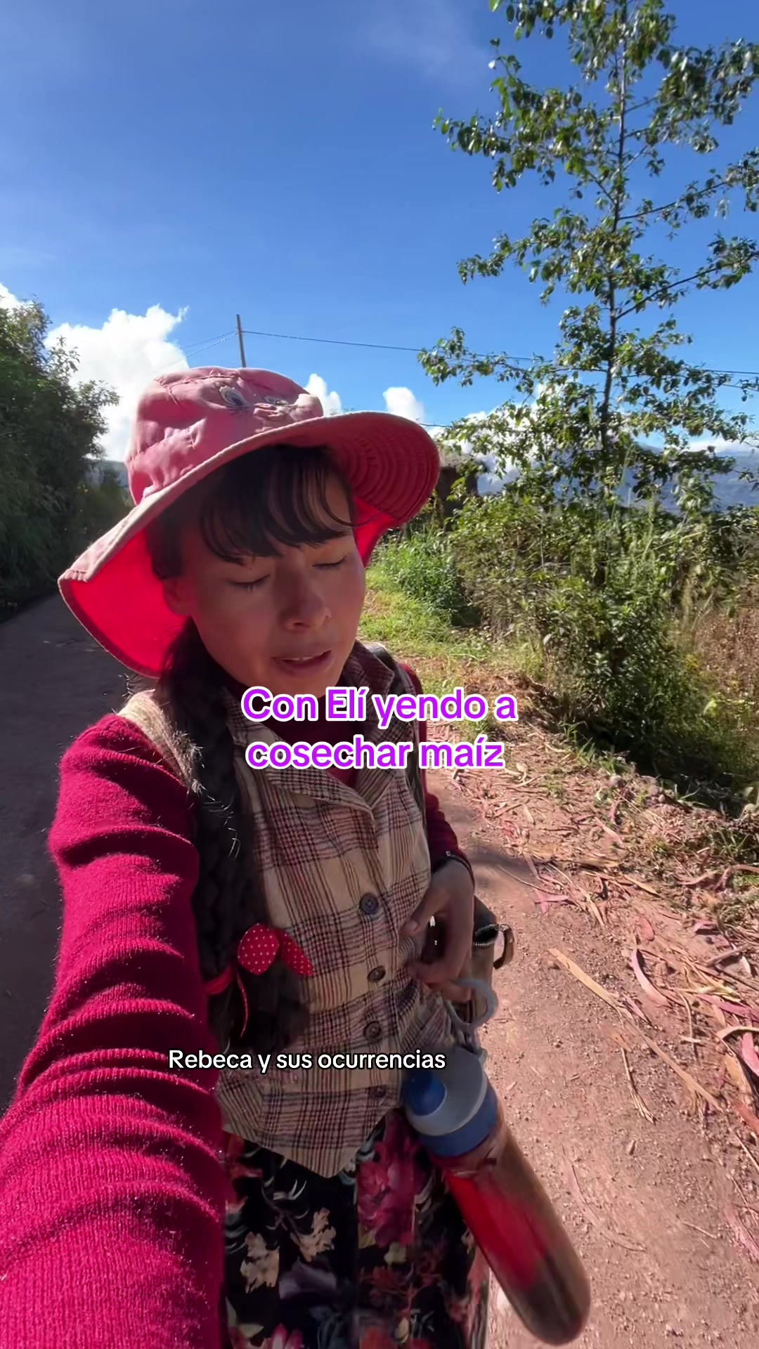 @🐈Rebeca y sus ocurrencias