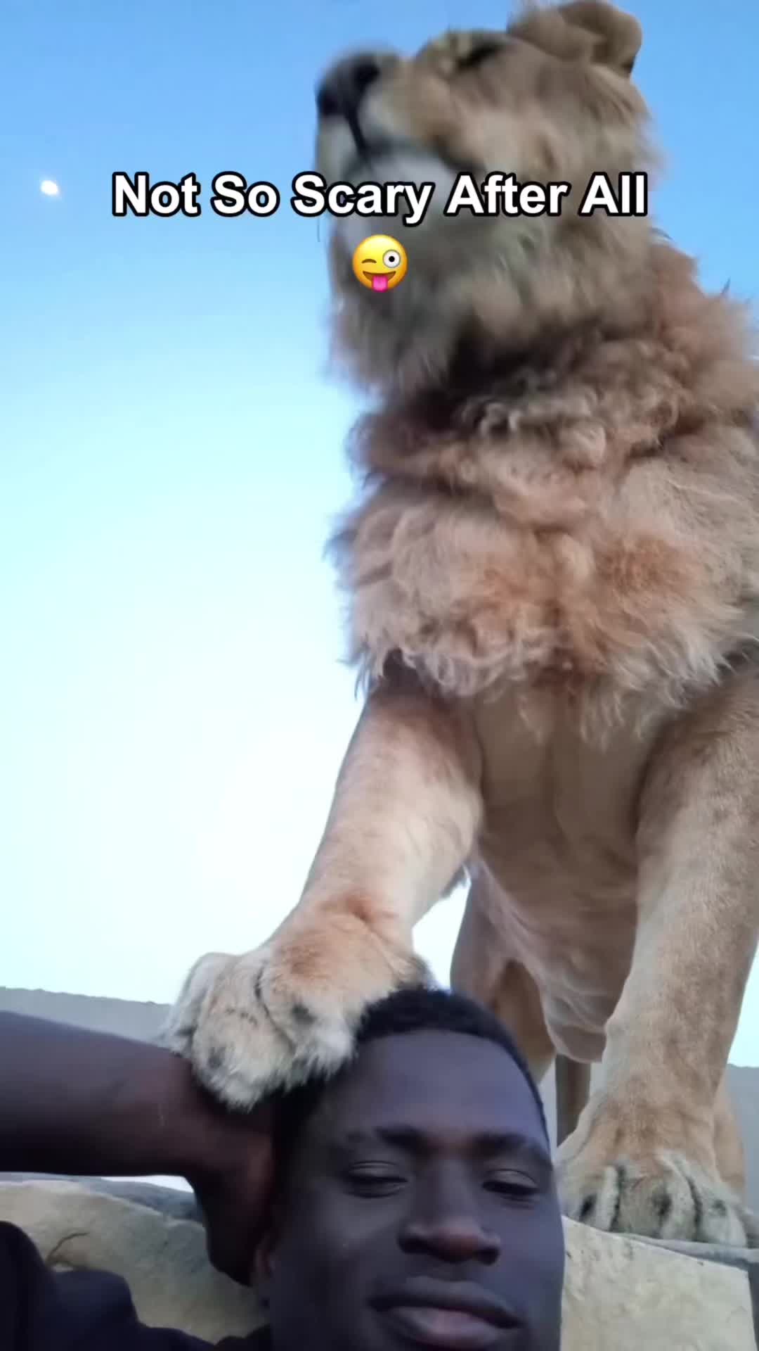 @cat moment