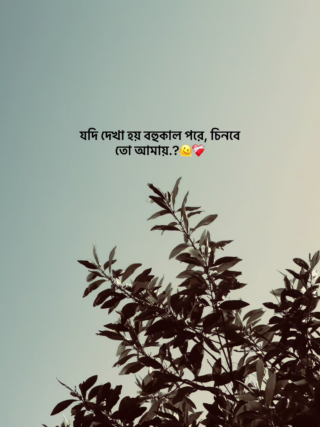 @❏ 𝗔𝗙𝗝𝗔𝗟'🐼