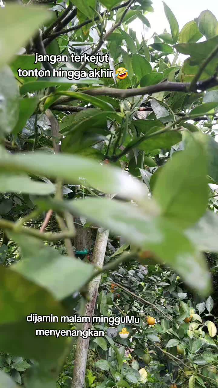 @jiminnuna26