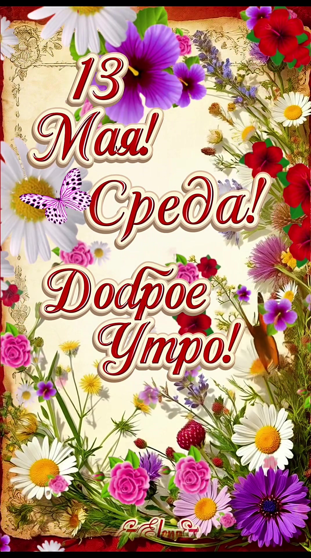 @Elena Skvortsova