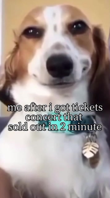 @NLTV