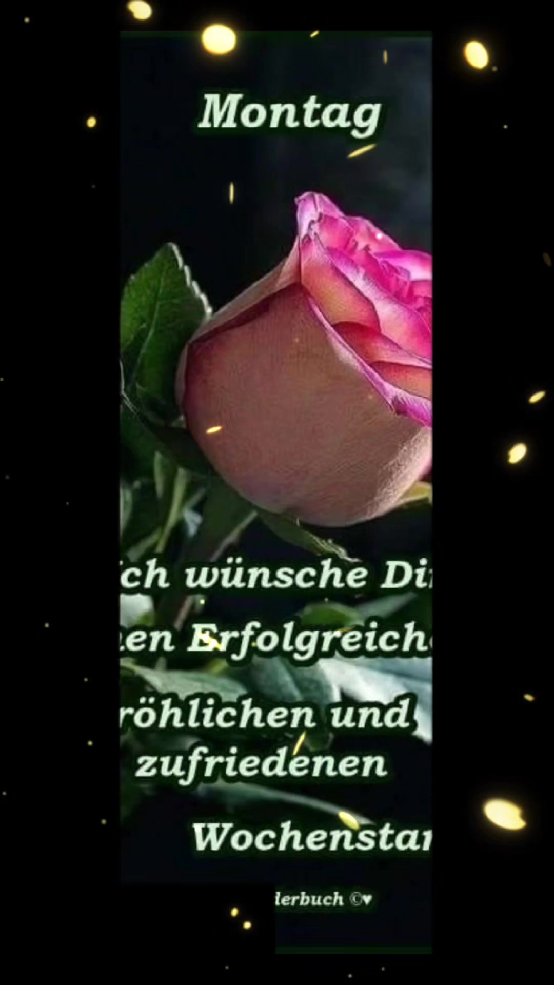 @🦋 Petra 🦋