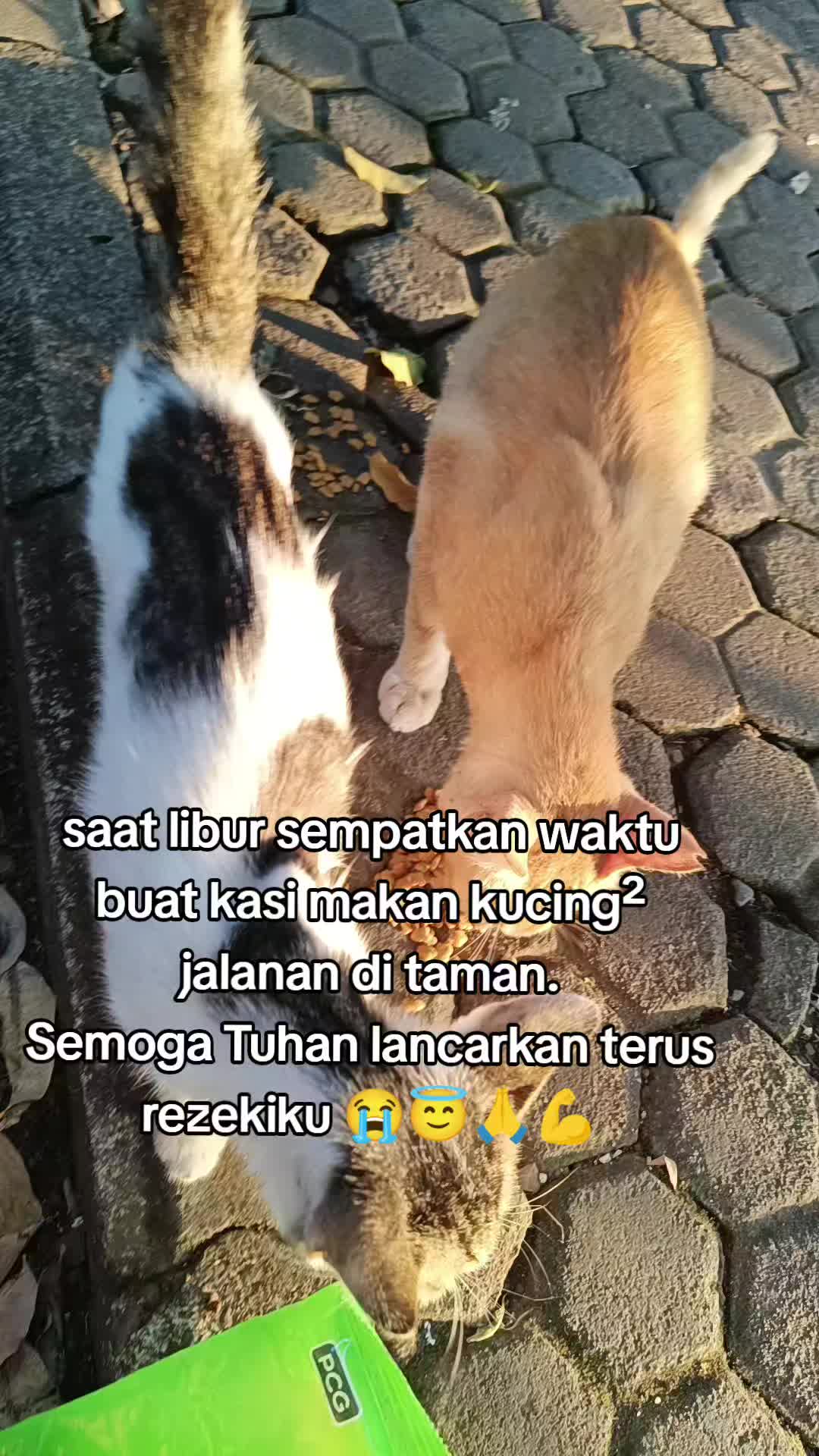 @Marhayati Arsyad