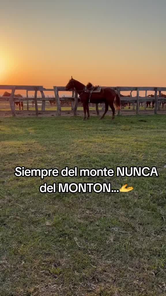 @Ramón_Batalla🫡