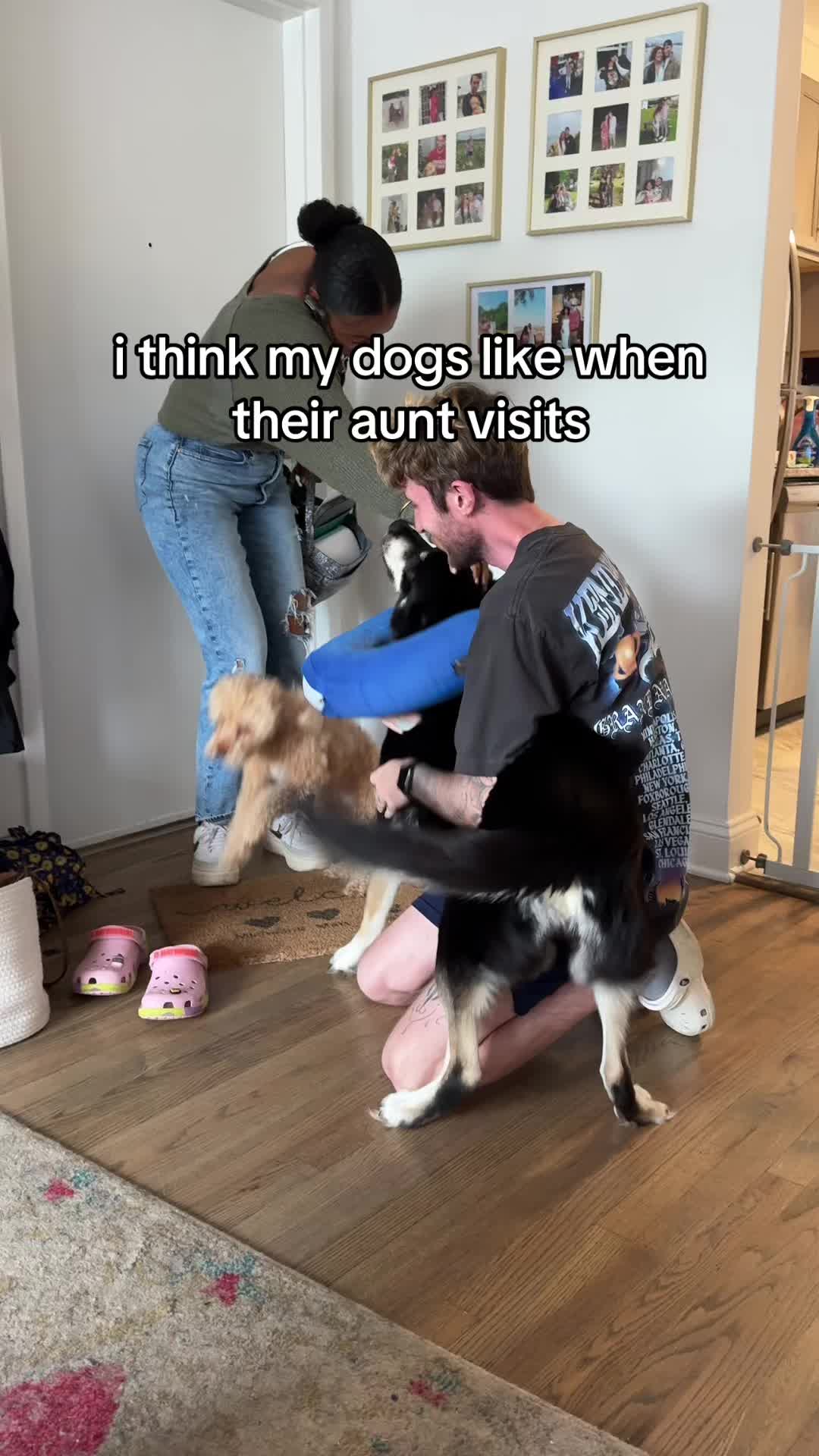 @Angel & Halo: Shepsky & Poodle