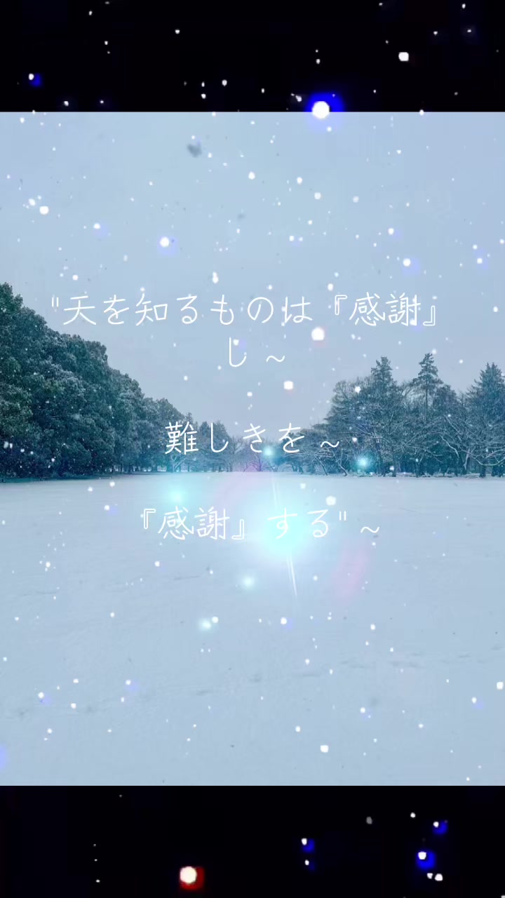 @セブンⅦ⑦七