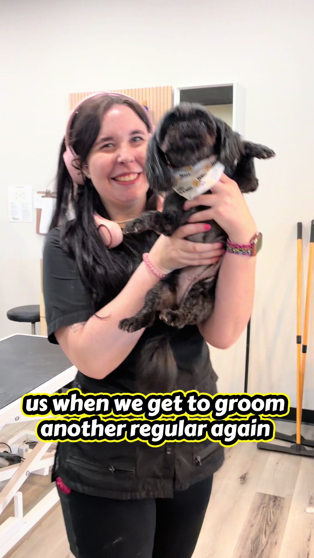 @Well Groomed Queen Creek