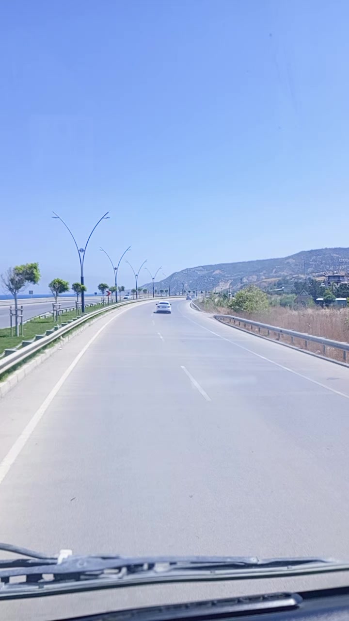@ALL&Uuml;Ş 🐯KAPLAN🐅