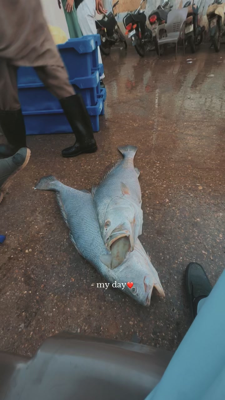 @𝙆𝘼𝙉𝙖𓃵