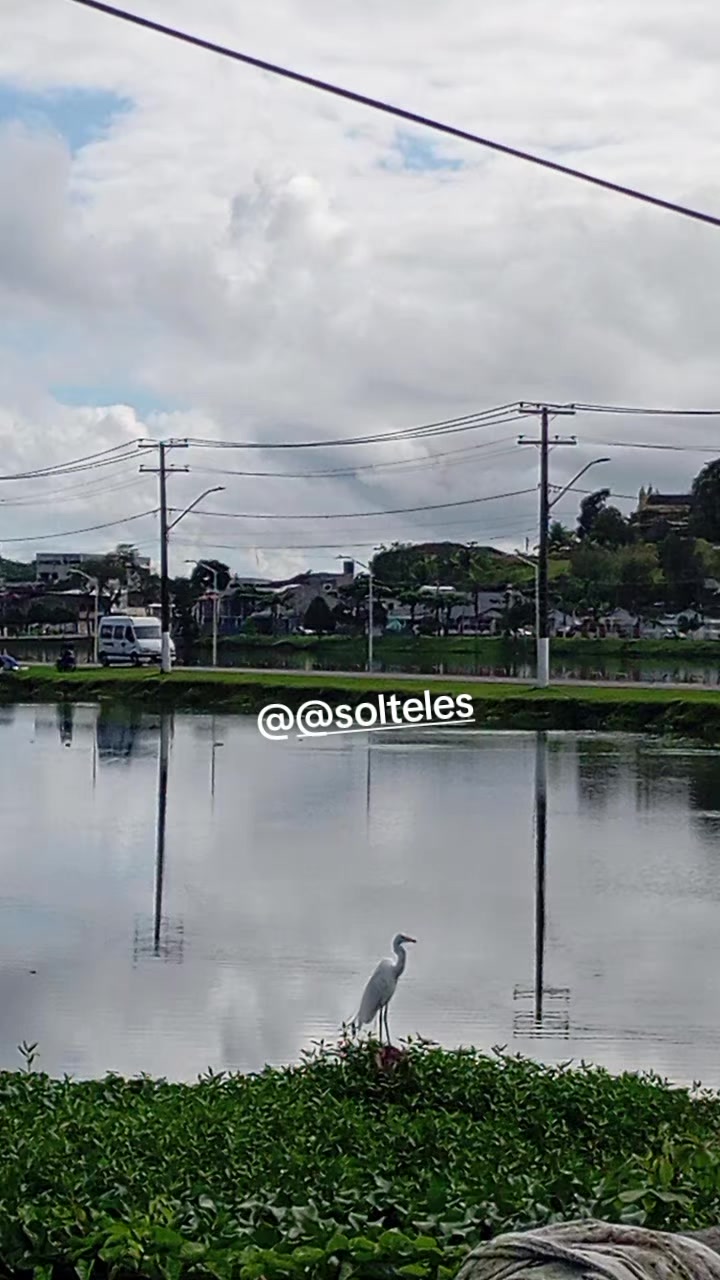 @@solteles