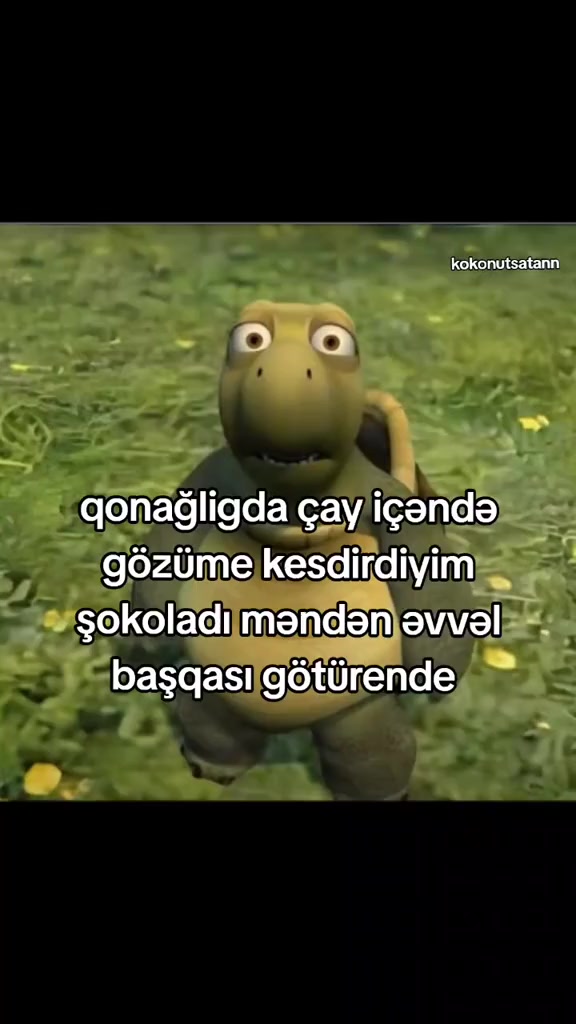 @🥥