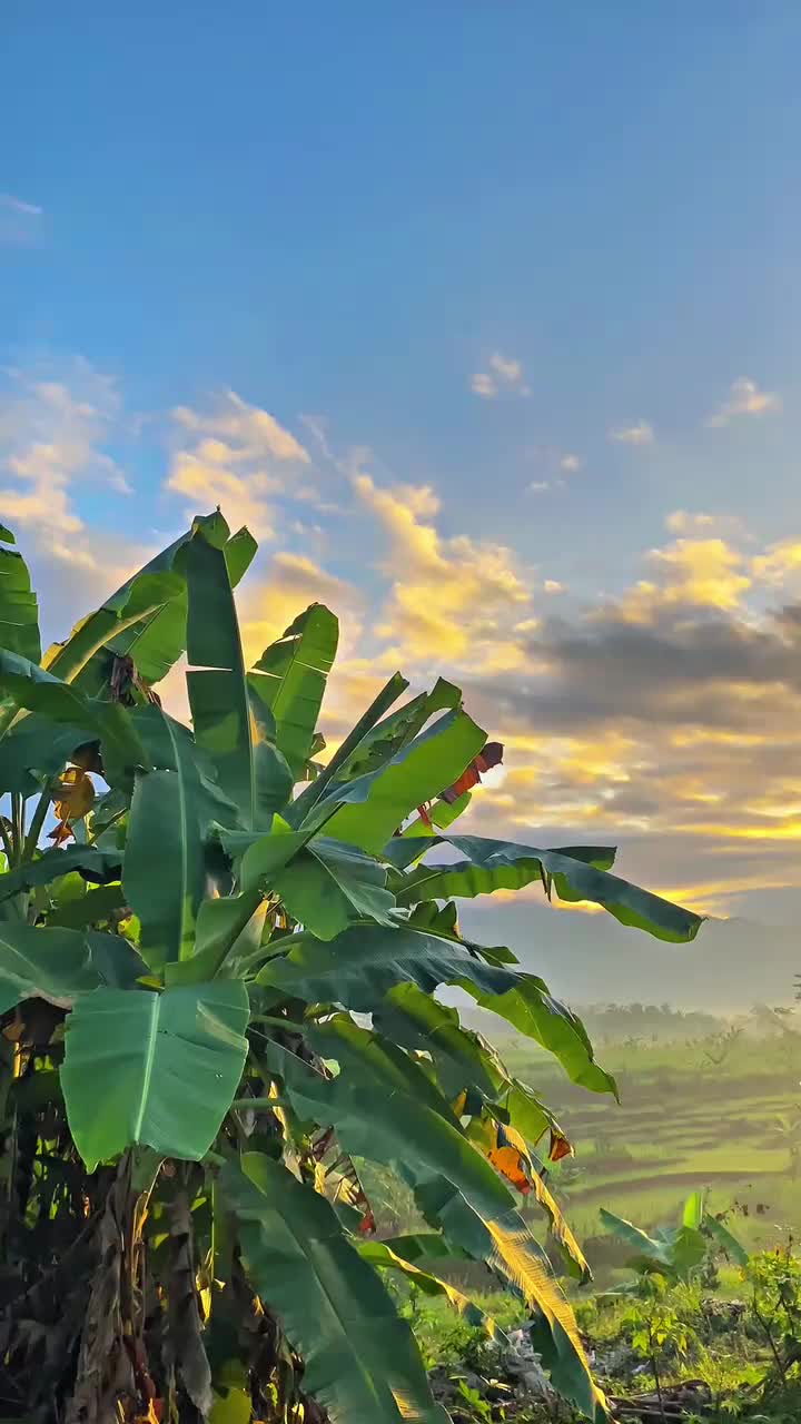 @Viaa Khaira 🥝