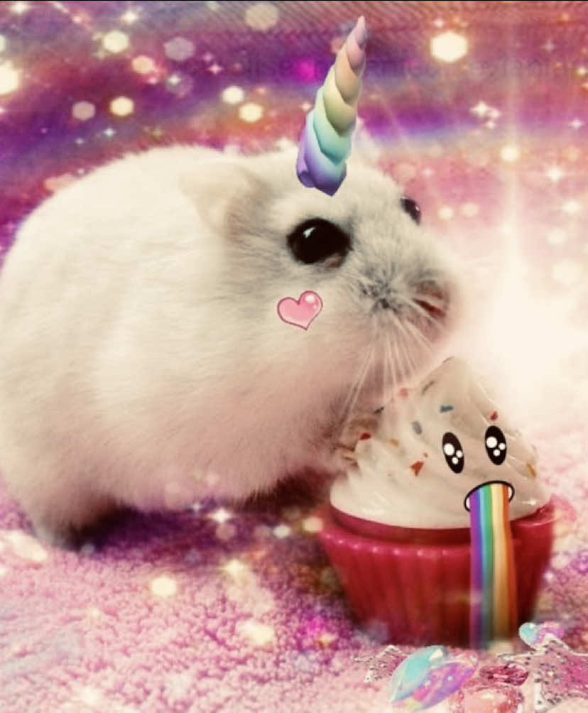 @𓊆ྀི ⴄ⍺𝗇͡ a ❤︎︎ ꭑ𑄝𔔀kα ☕️