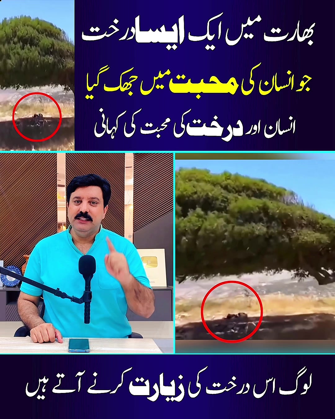 @Mux9 Tv