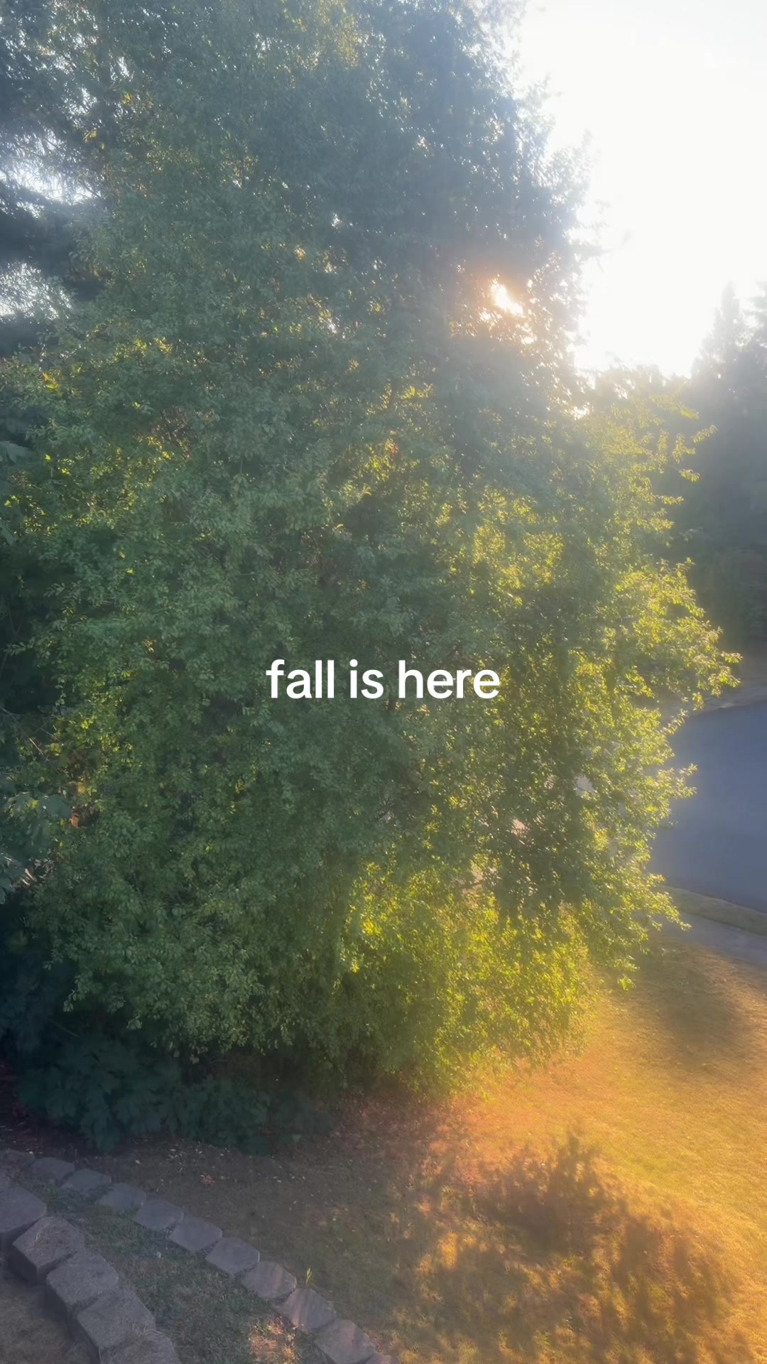 @mya