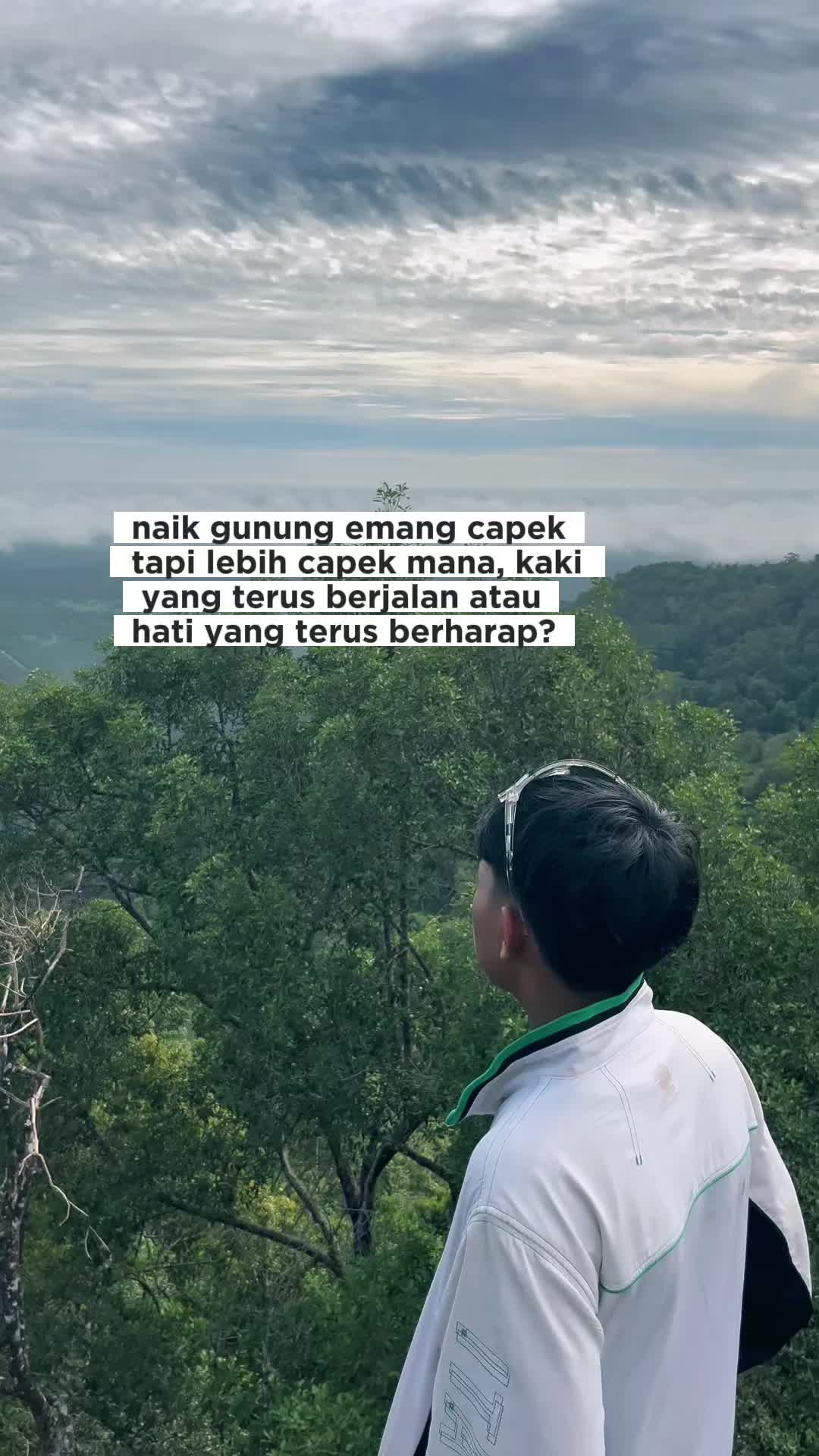 @wak