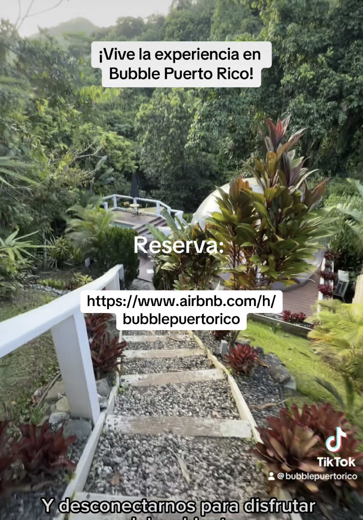@Bubble Puerto Rico