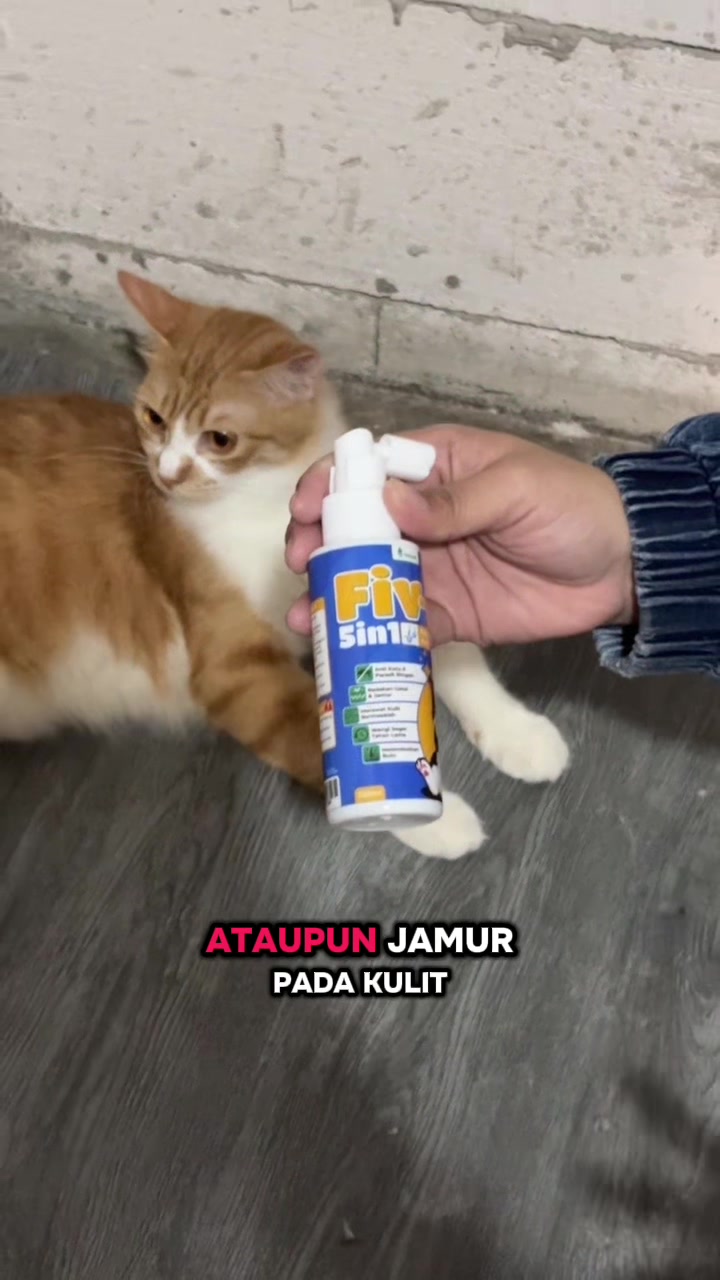 @BUMI ANABUL😺