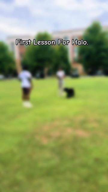 @DJ | Dog Trainer