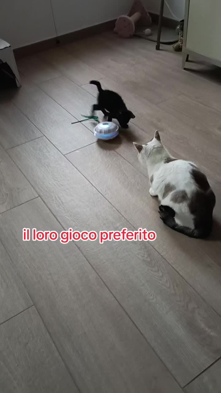 @vincenza