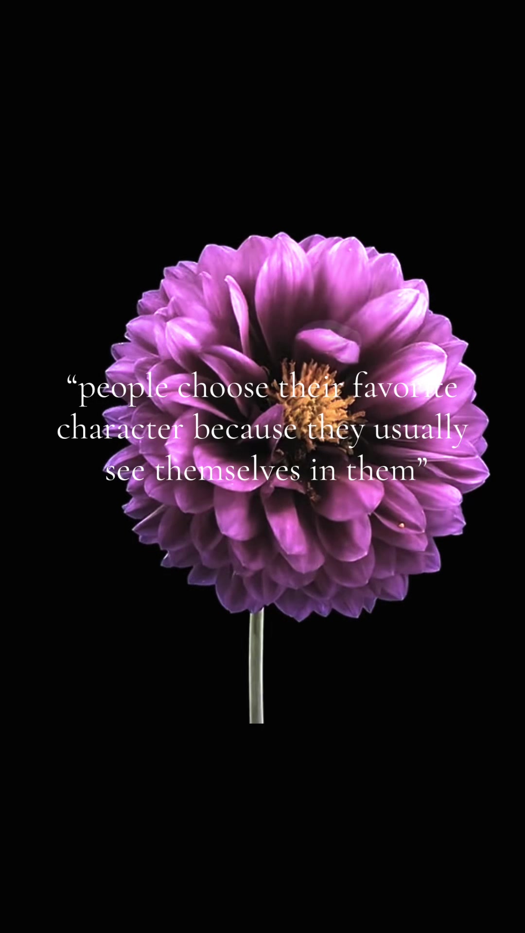 @࿔˚&bull;.𝐉𝐚𝐬𝐦𝐢𝐧.&bull;˚࿔