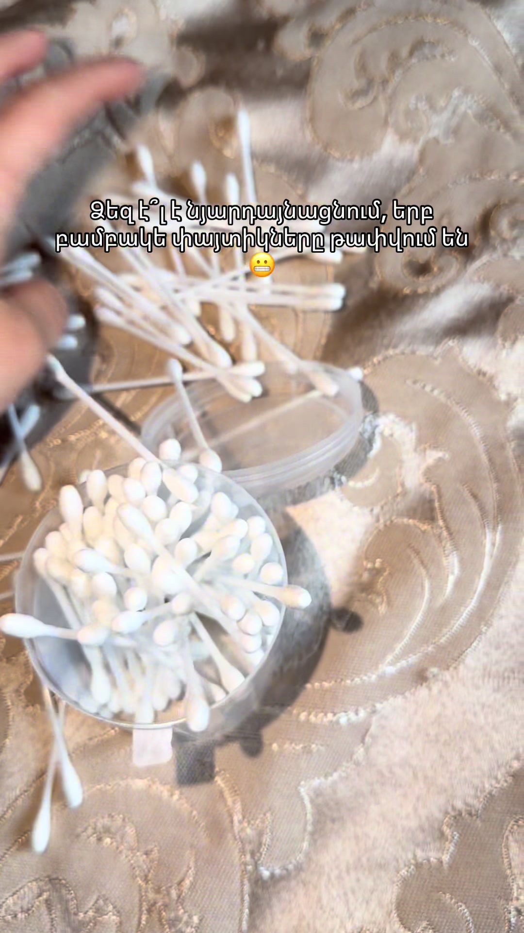 @Ani