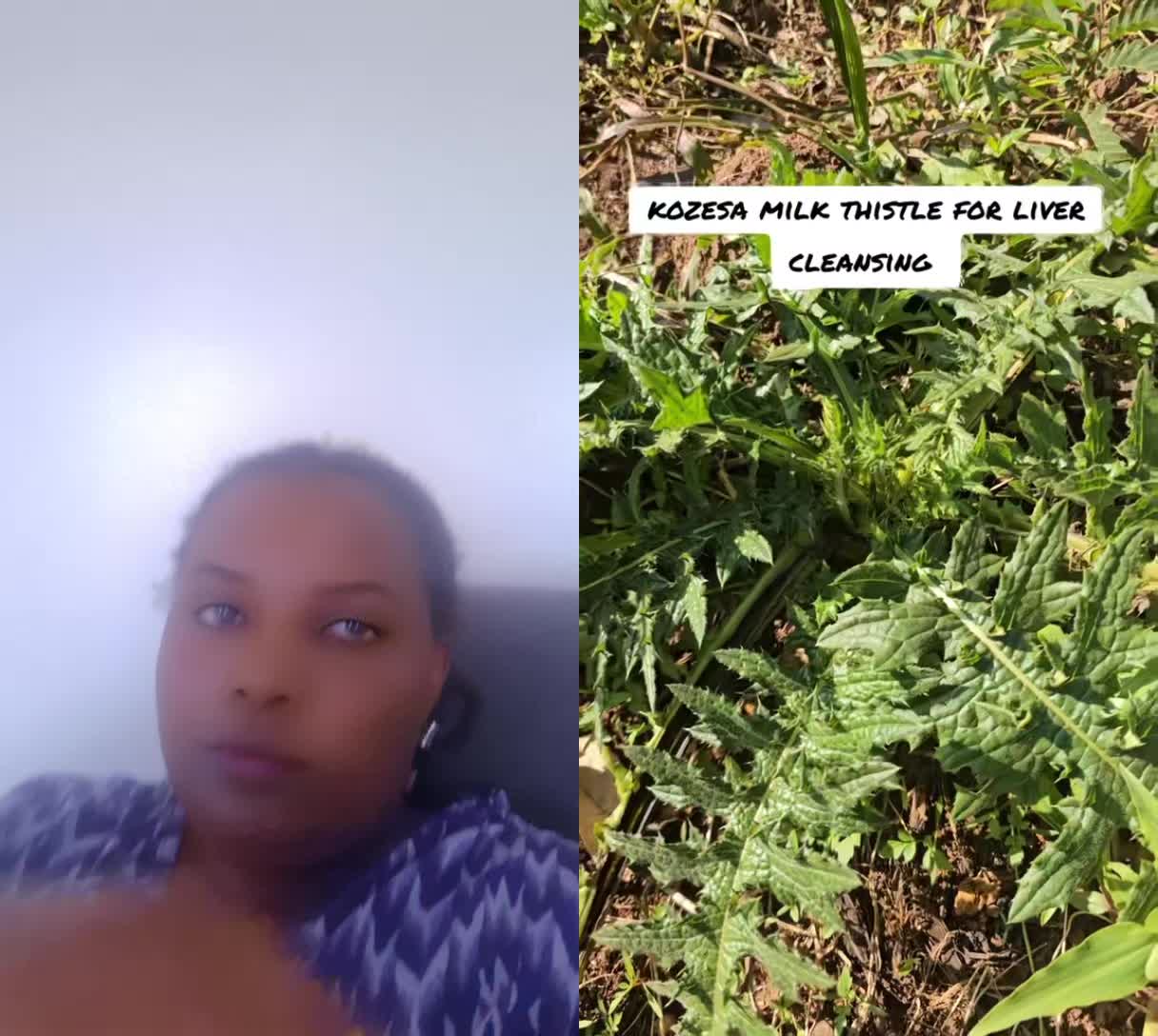 @TUGLO