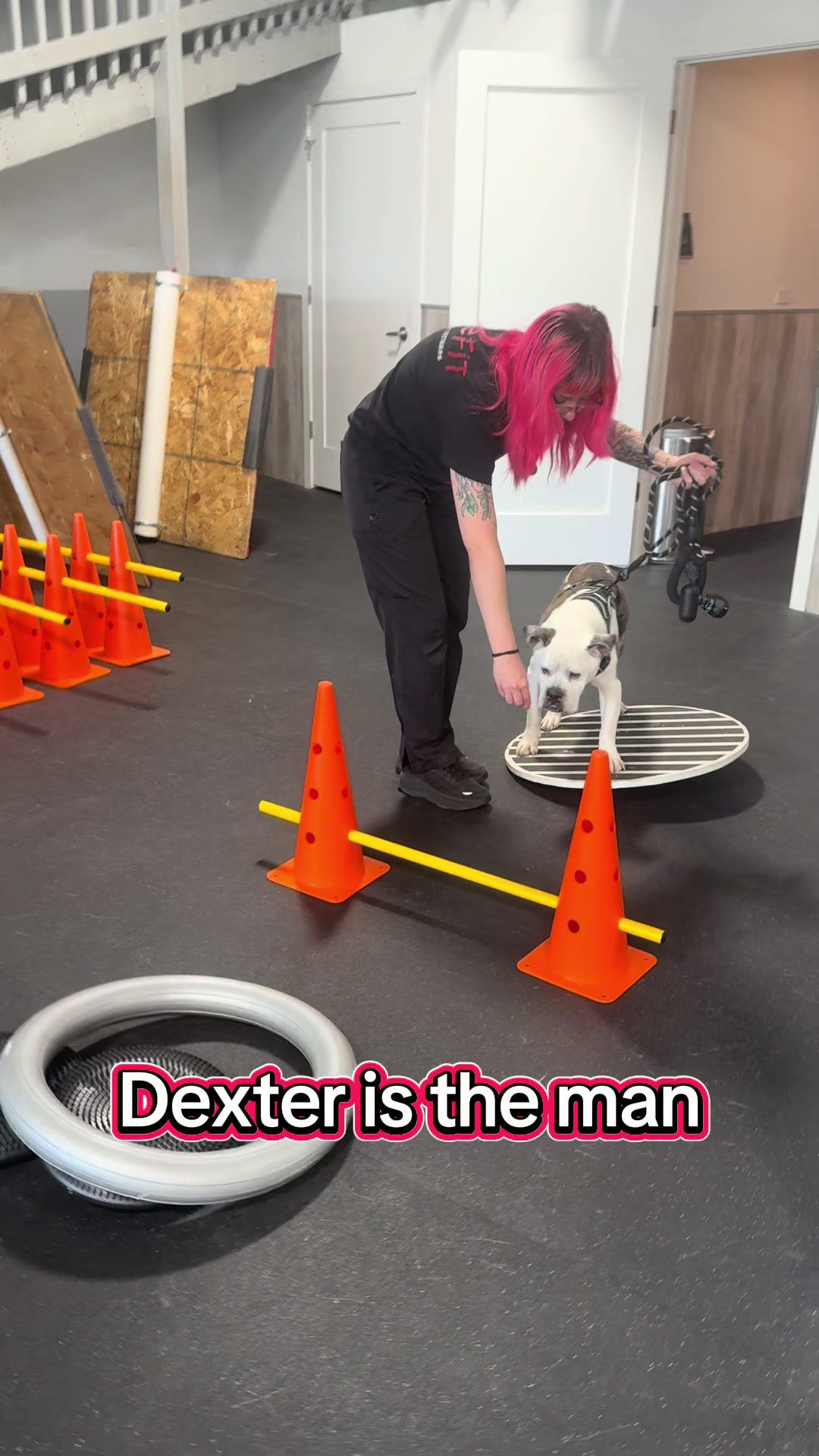 @ArfitDogRehabFitness