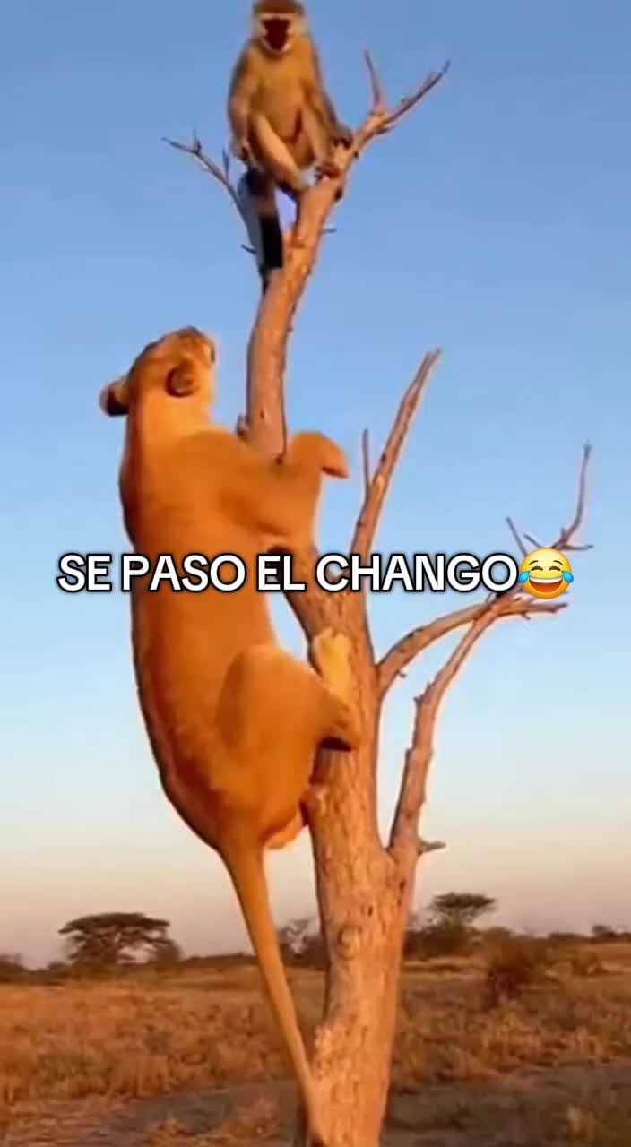 @EL POLICÍA 👮♂️