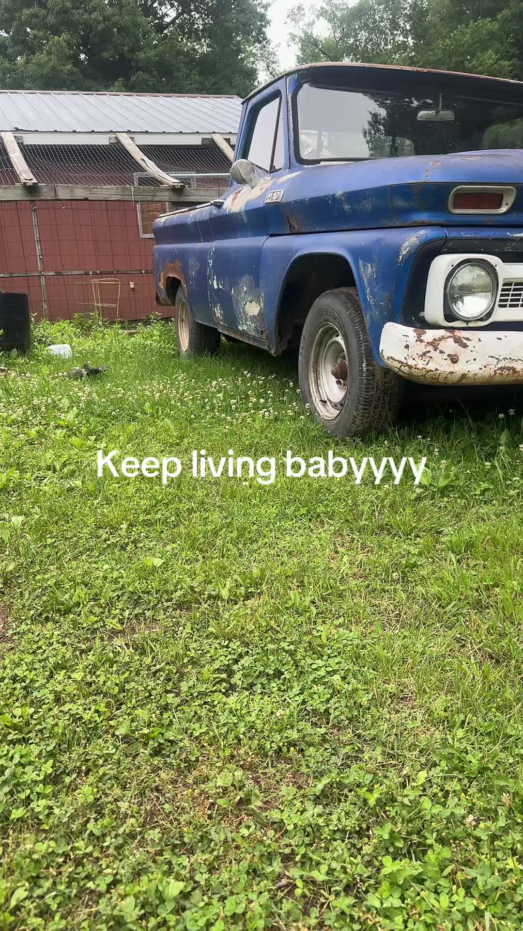 @therealShay