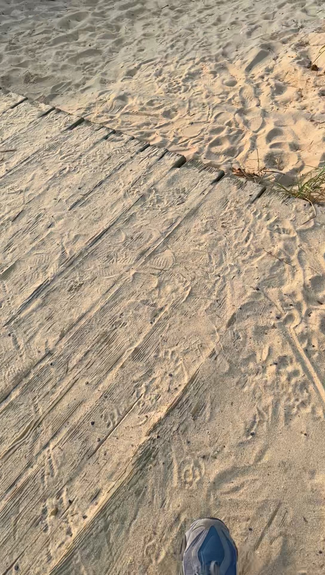 @410Wali-3K’z