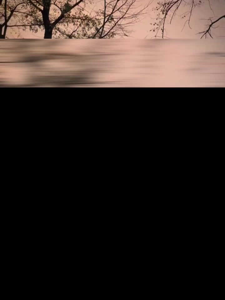 @Car_lover_69