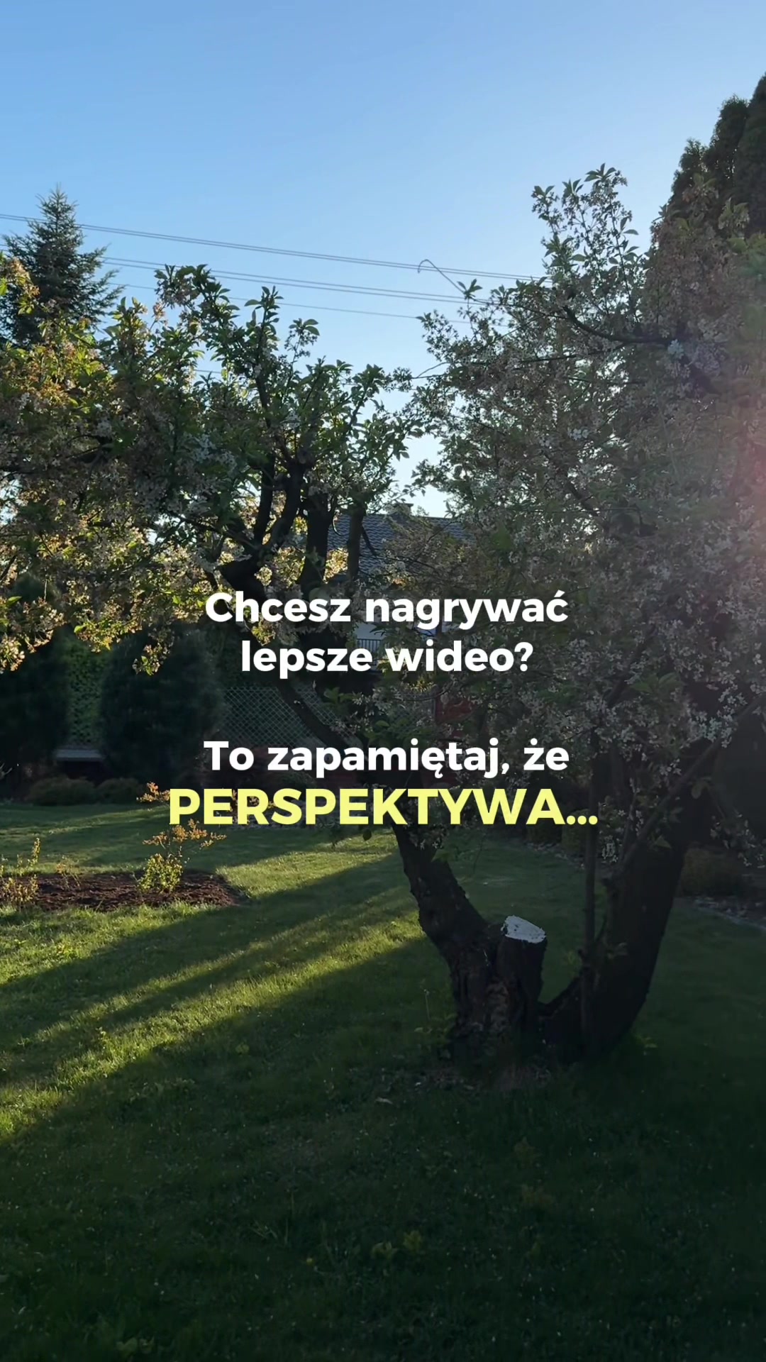 @Diana | Wideo dla biznesu