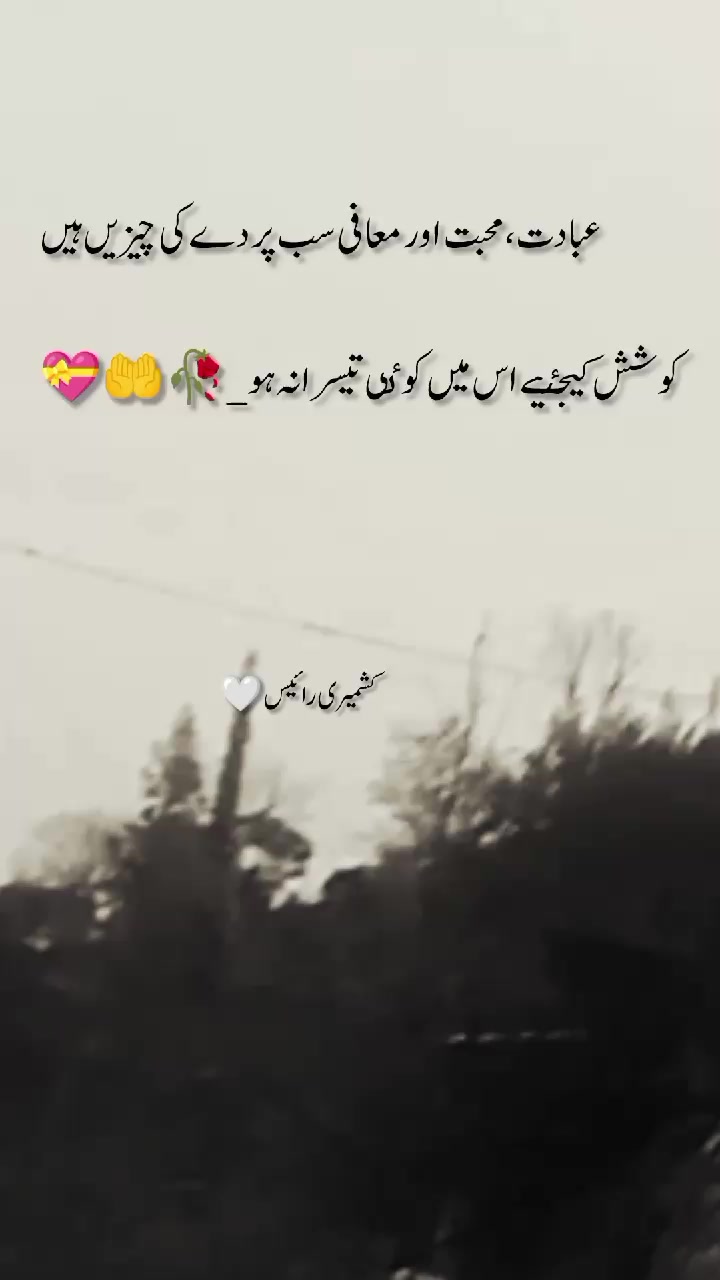 @🦅کشمیری رائٹس 🍁(◕‿-)