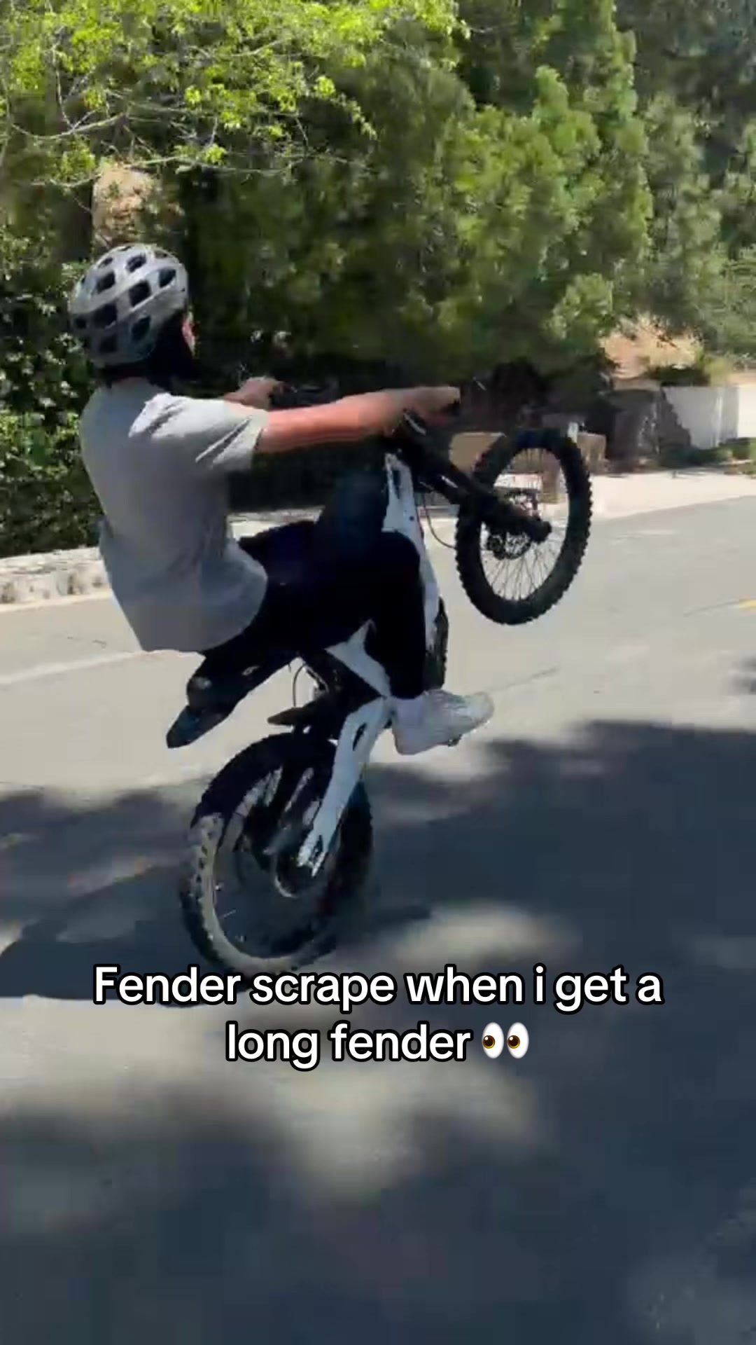 @Mx4ant
