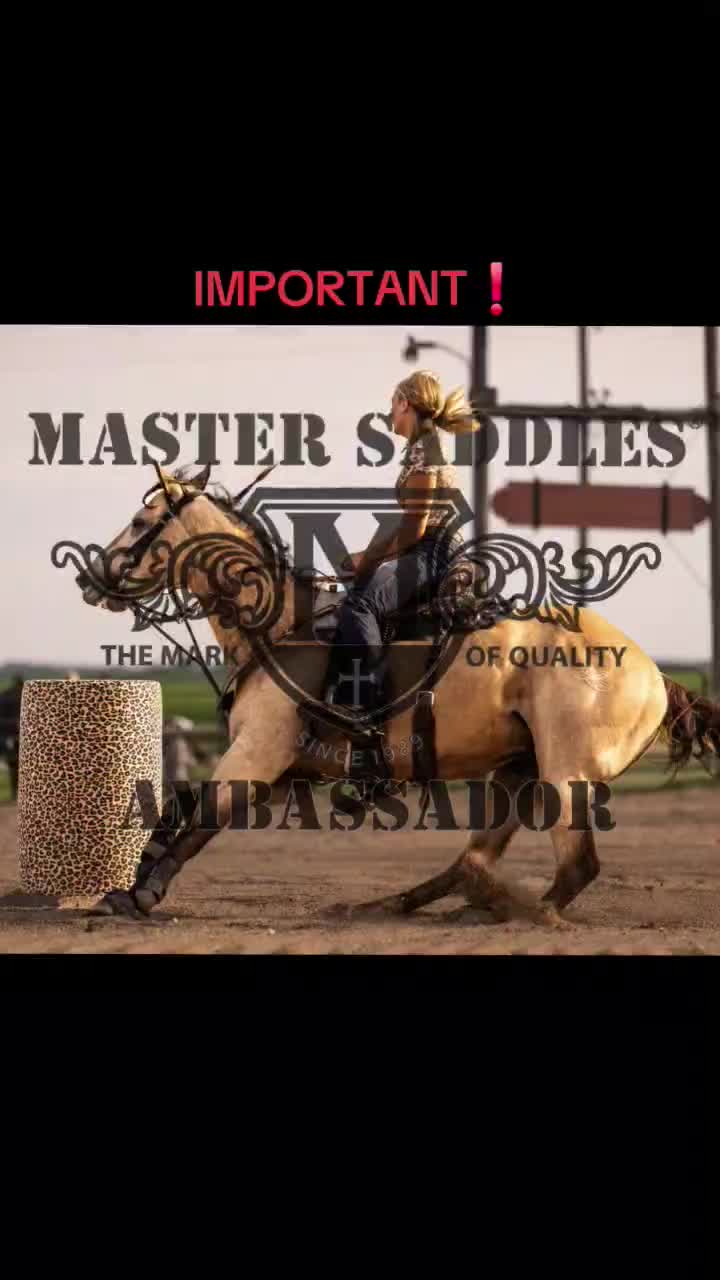 @Mastersaddles