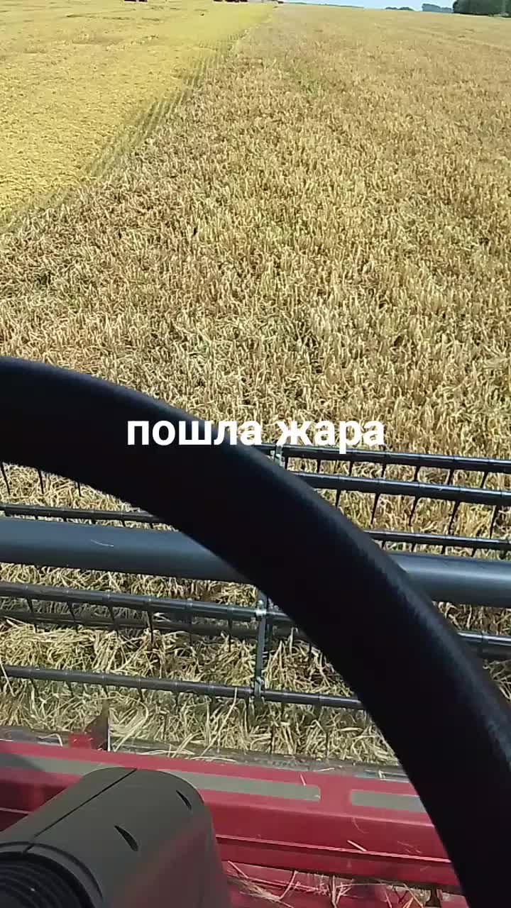 @нет имени