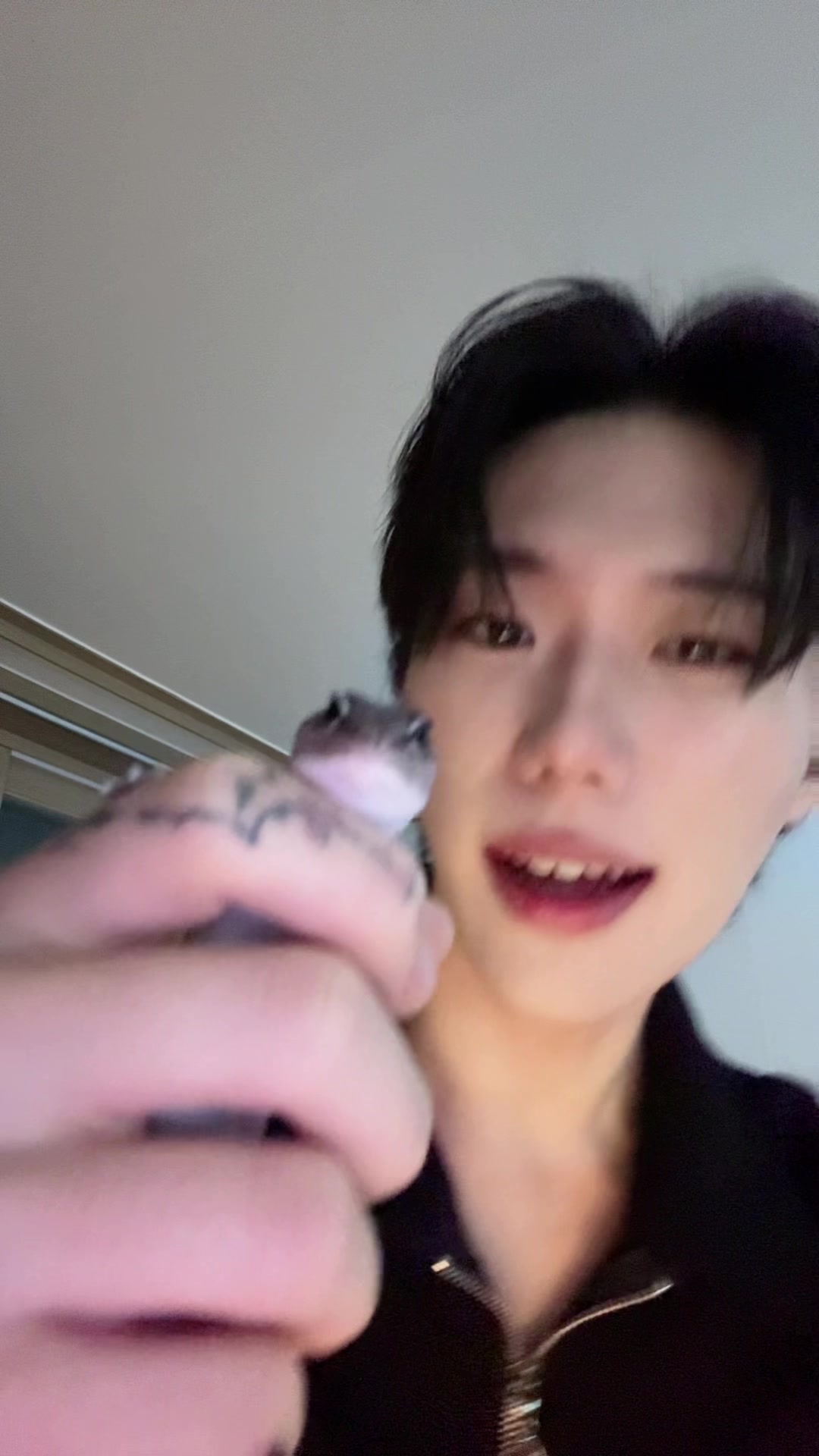@SAN🦎