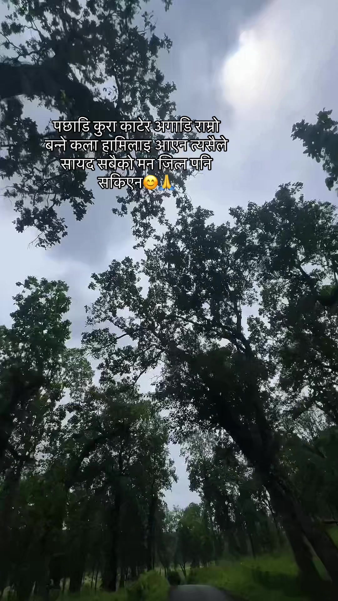 @🦋🦋