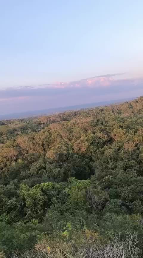 @Escorpión
