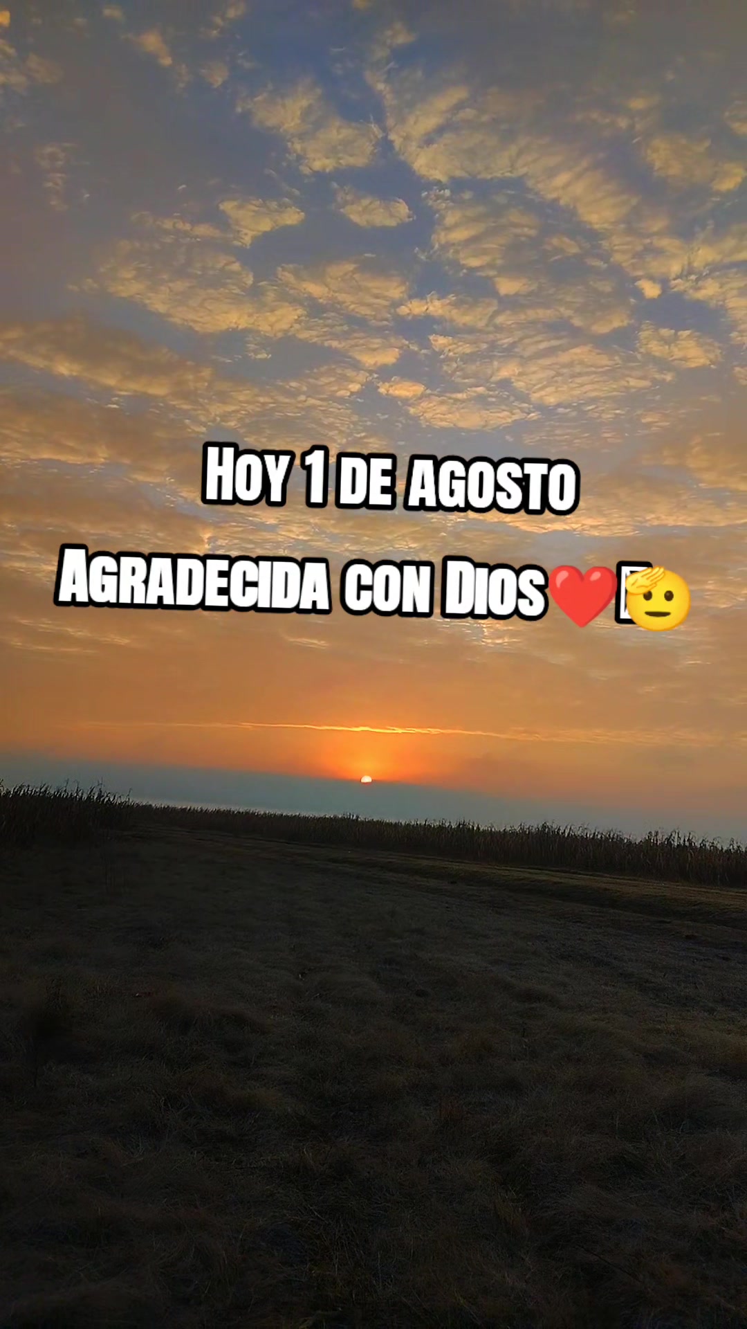 @DaYisLuka