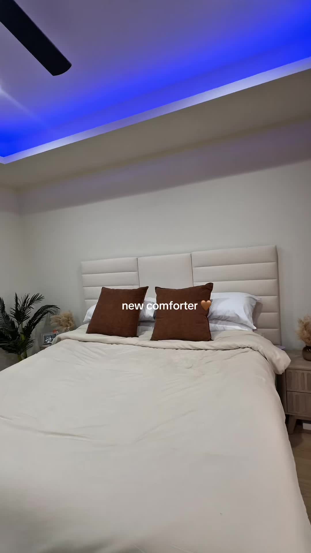@thicp