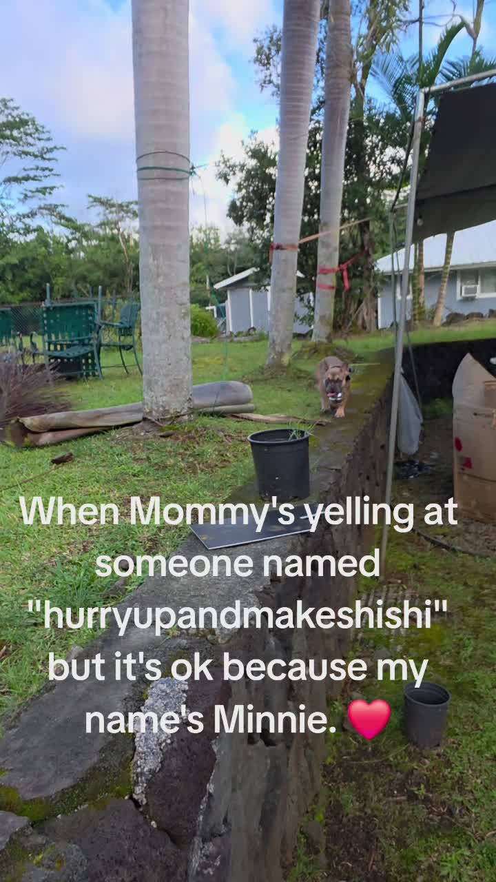 @Hawniqua