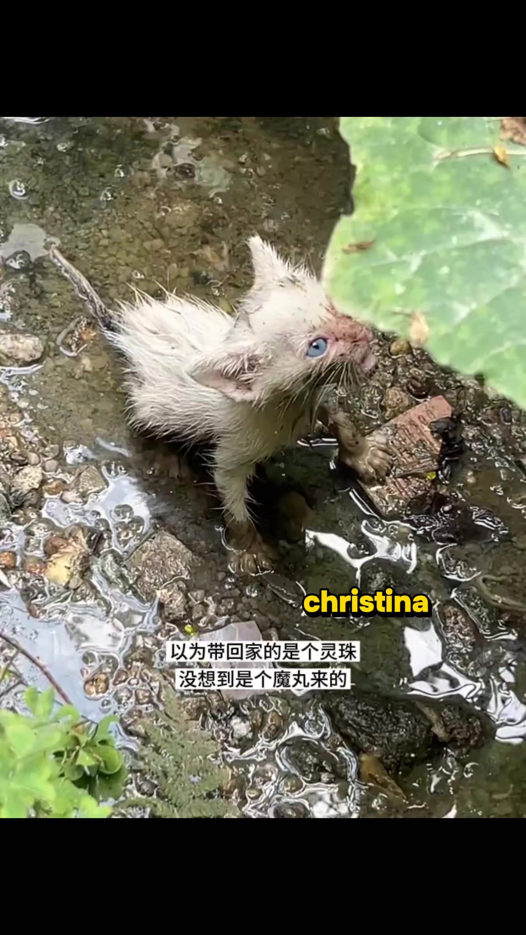 @christina