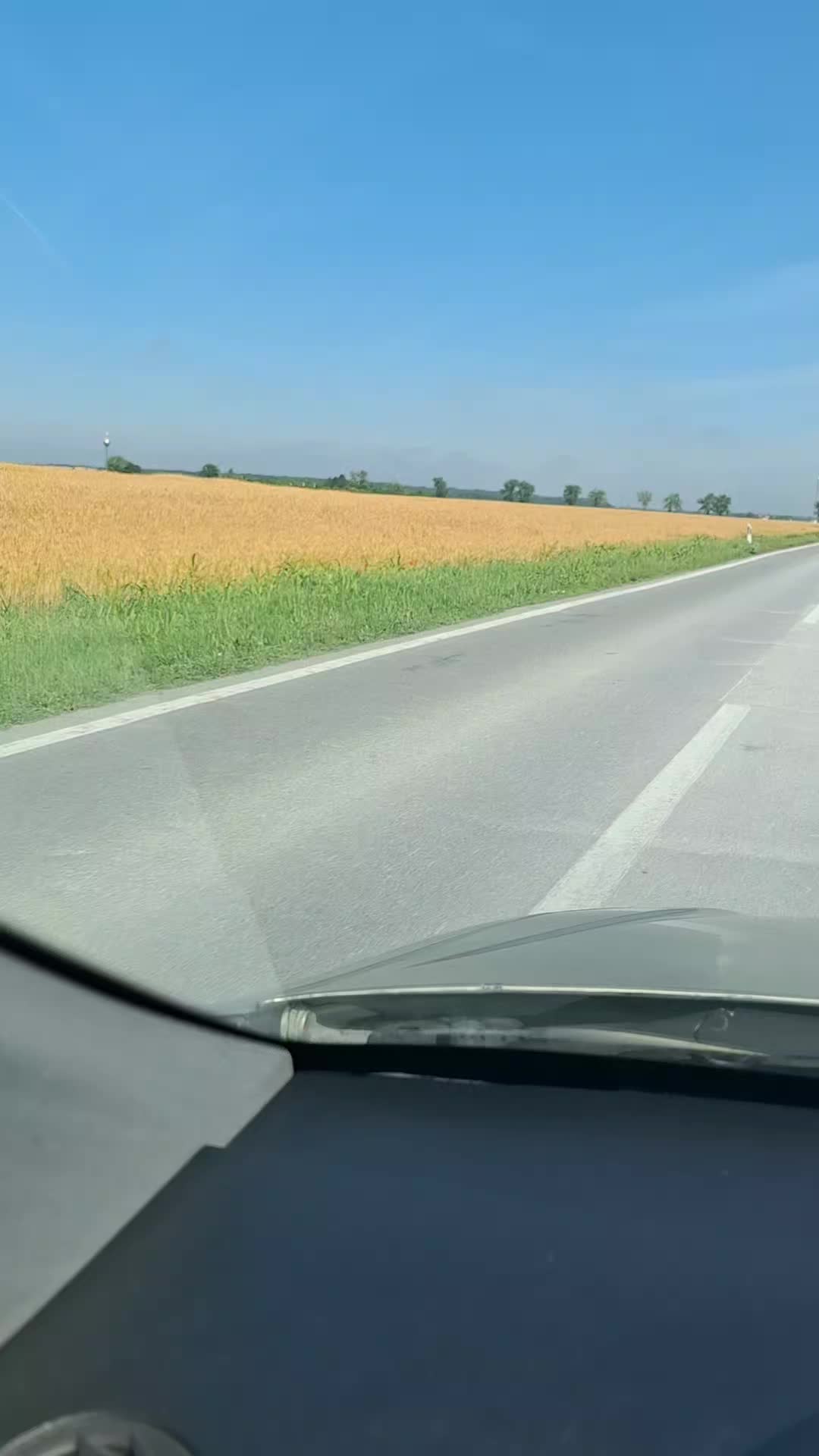 @Marijana