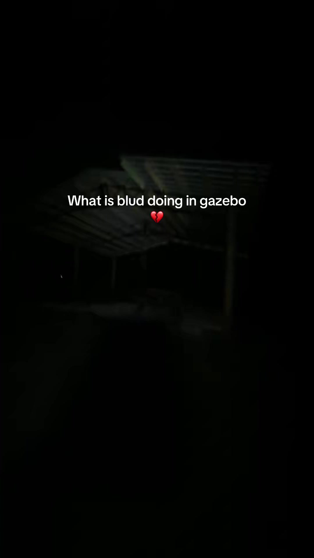 @1NK_.*mp4