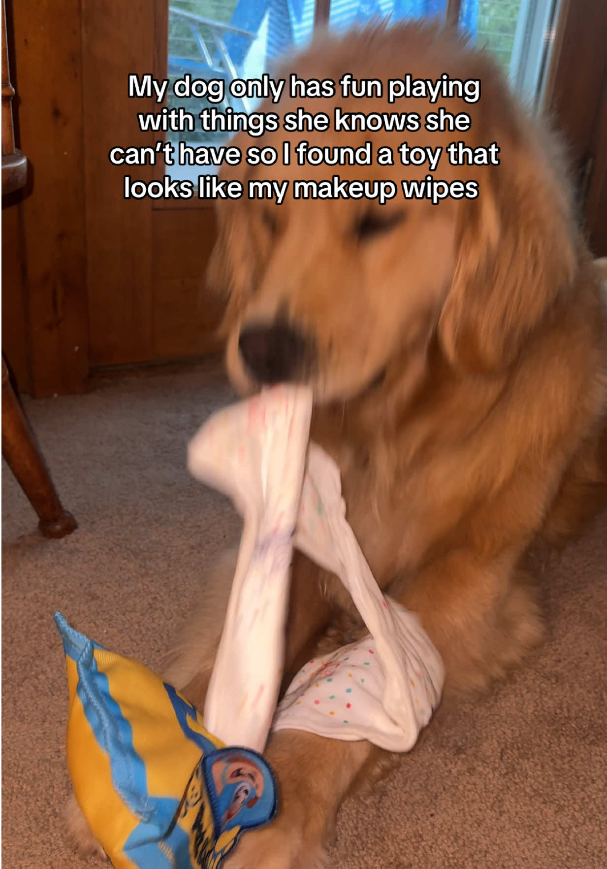 @Winter the Golden