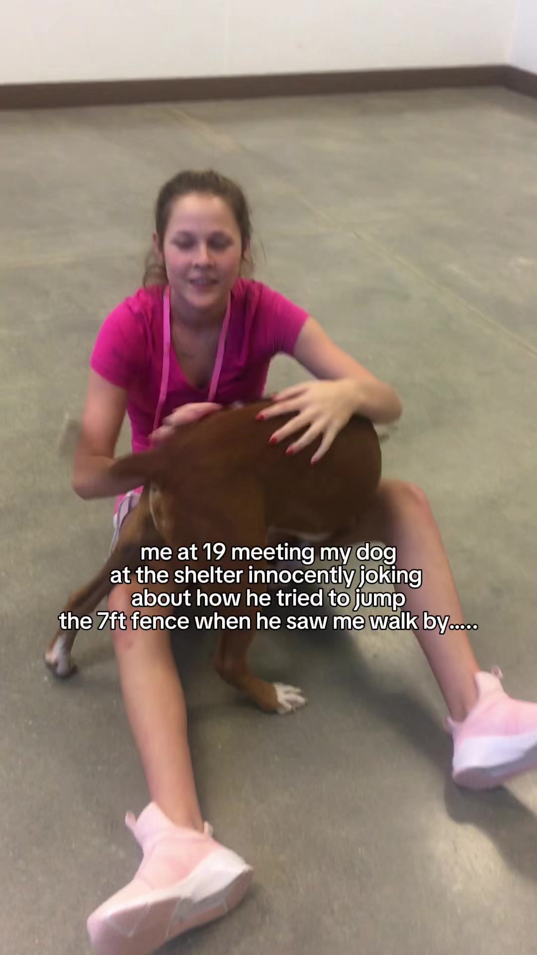 @Abby KPA-CTP | Dog Trainer