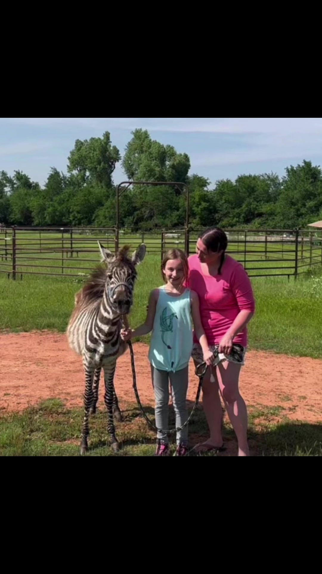 @Tigersafari